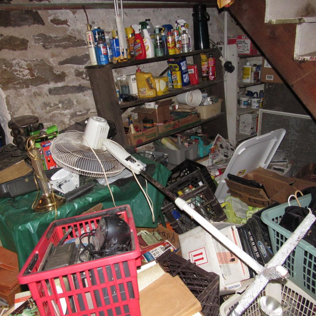 Partial Basement Contents Lot (1 of 9)