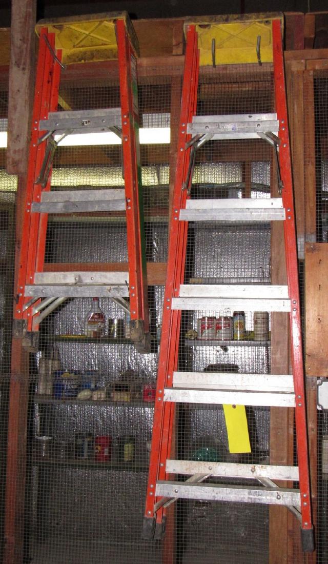 4' & 6' Step Ladders (1 of 3)