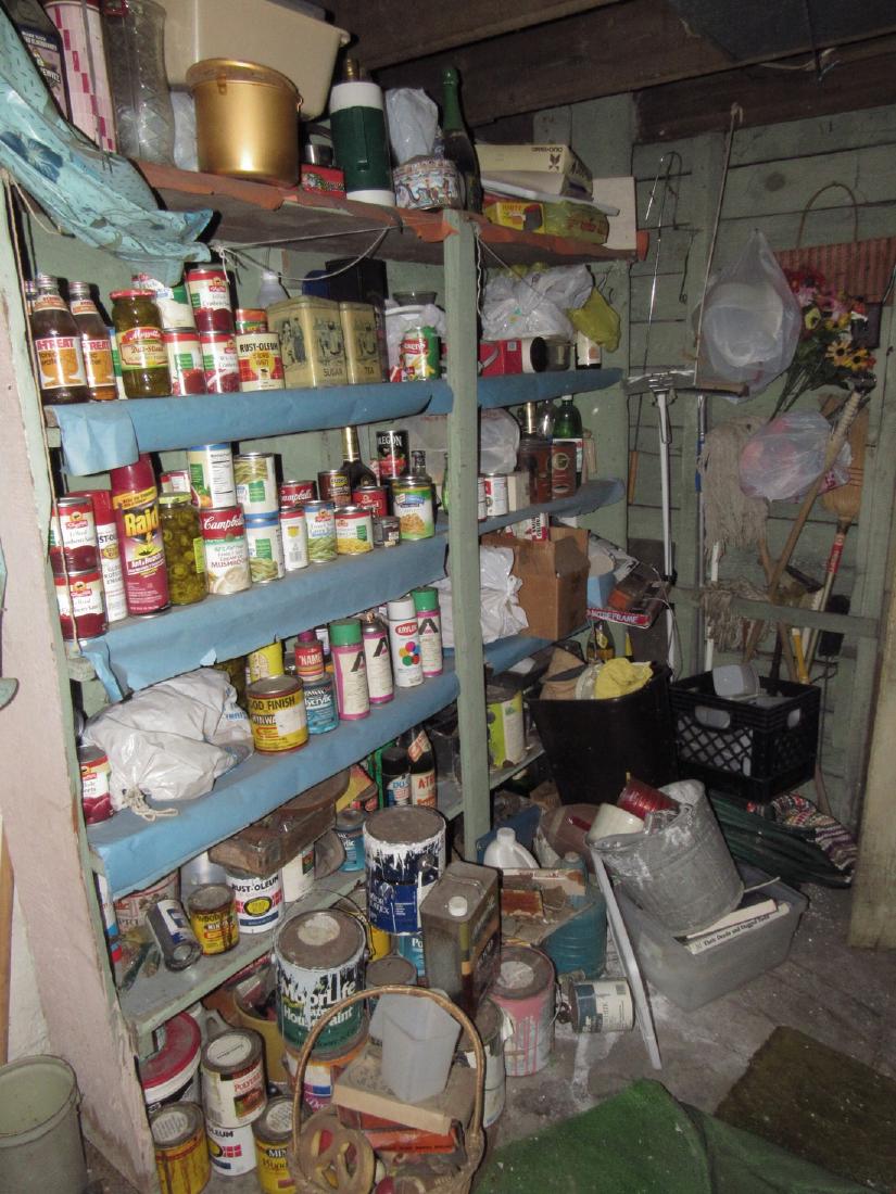 Misc Basement Shelf Contents (1 of 7)