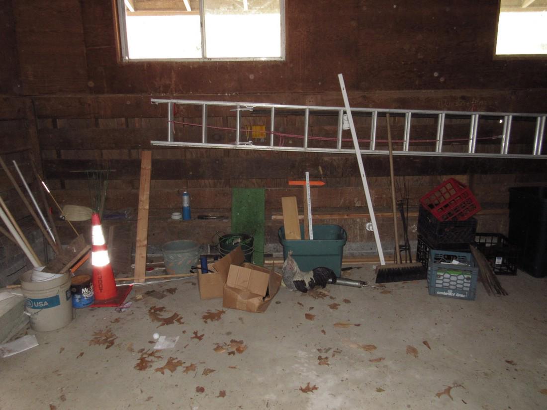 Aluminum Extension Ladder Garden Tools (1 of 8)