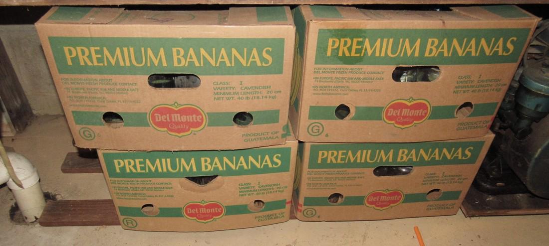 4 Boxes of Ball Mason Fruit Jars (1 of 6)