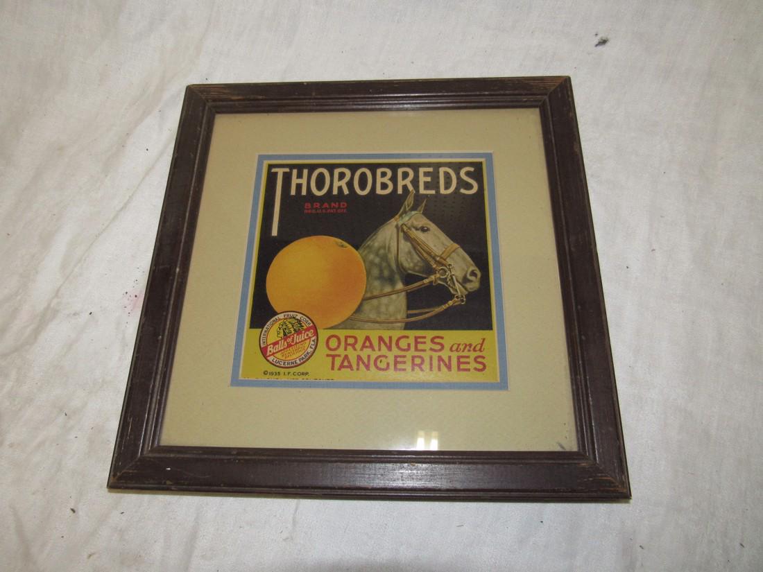 Thorobreds Oranges Tangerines Horse Advertisement: Approx. 11 1/2" square
