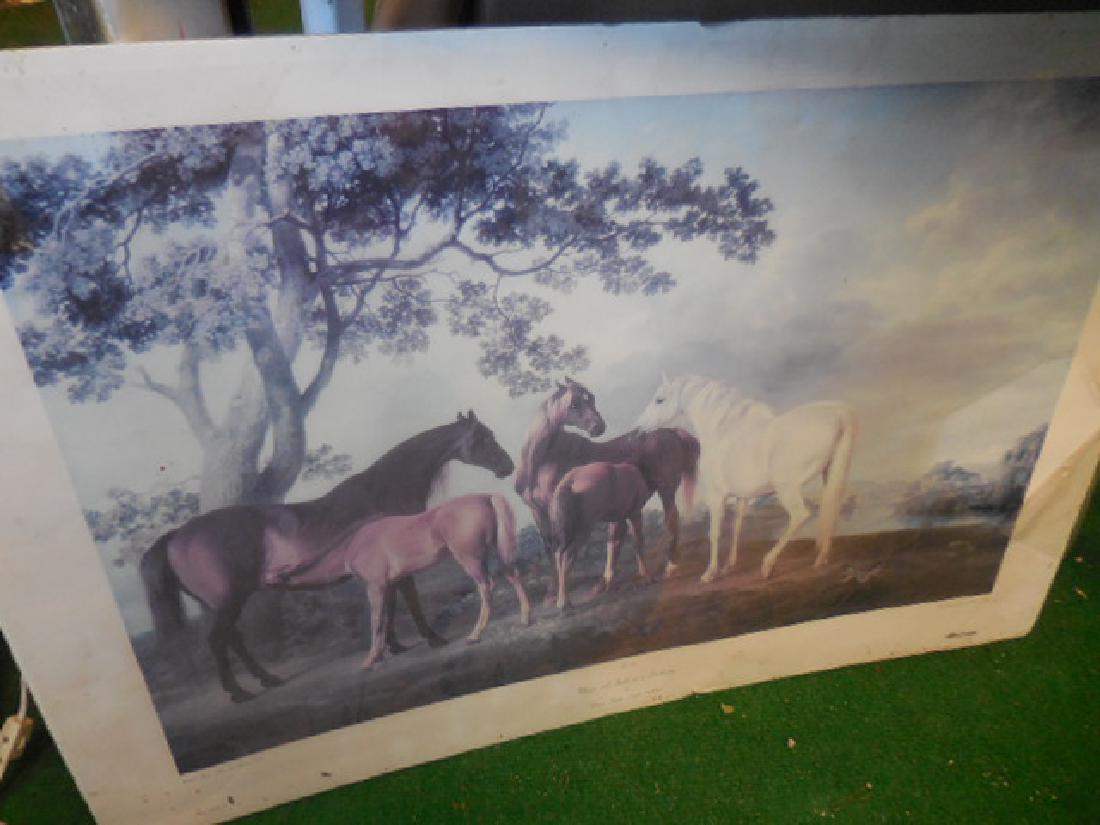 Mares and Foals Horse Print (1 of 4)