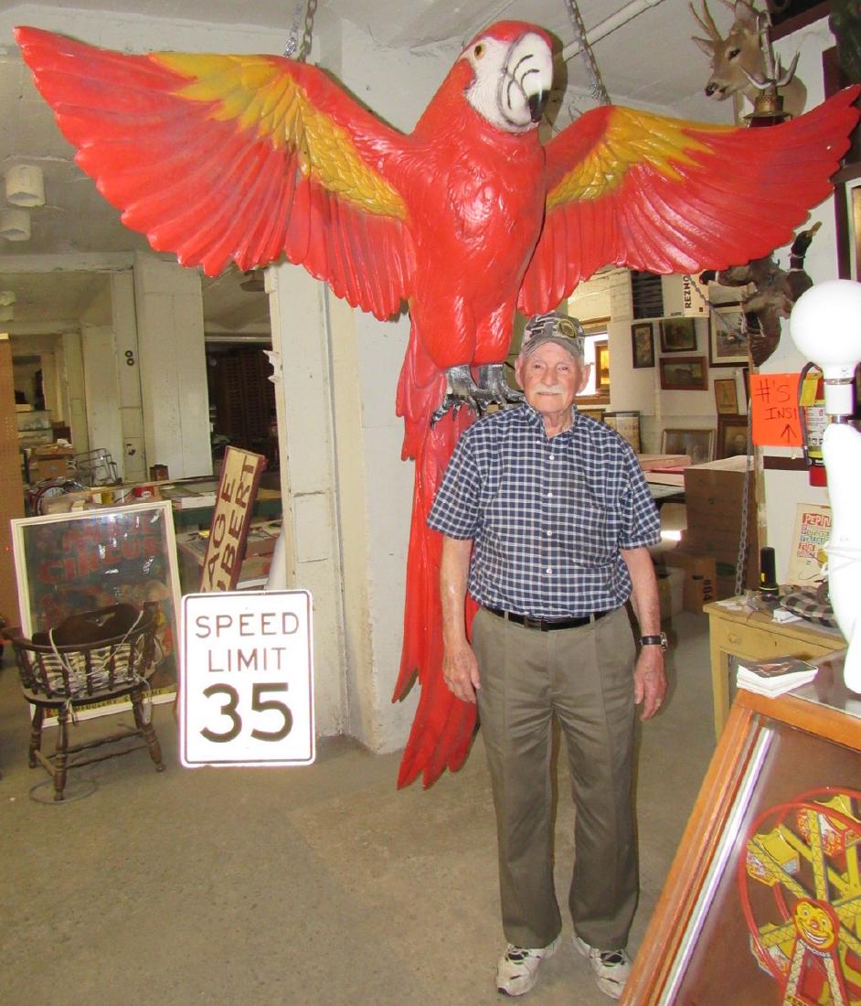 Large Resin Store Display Parrot 84" tall & 86" Wing (1 of 10)