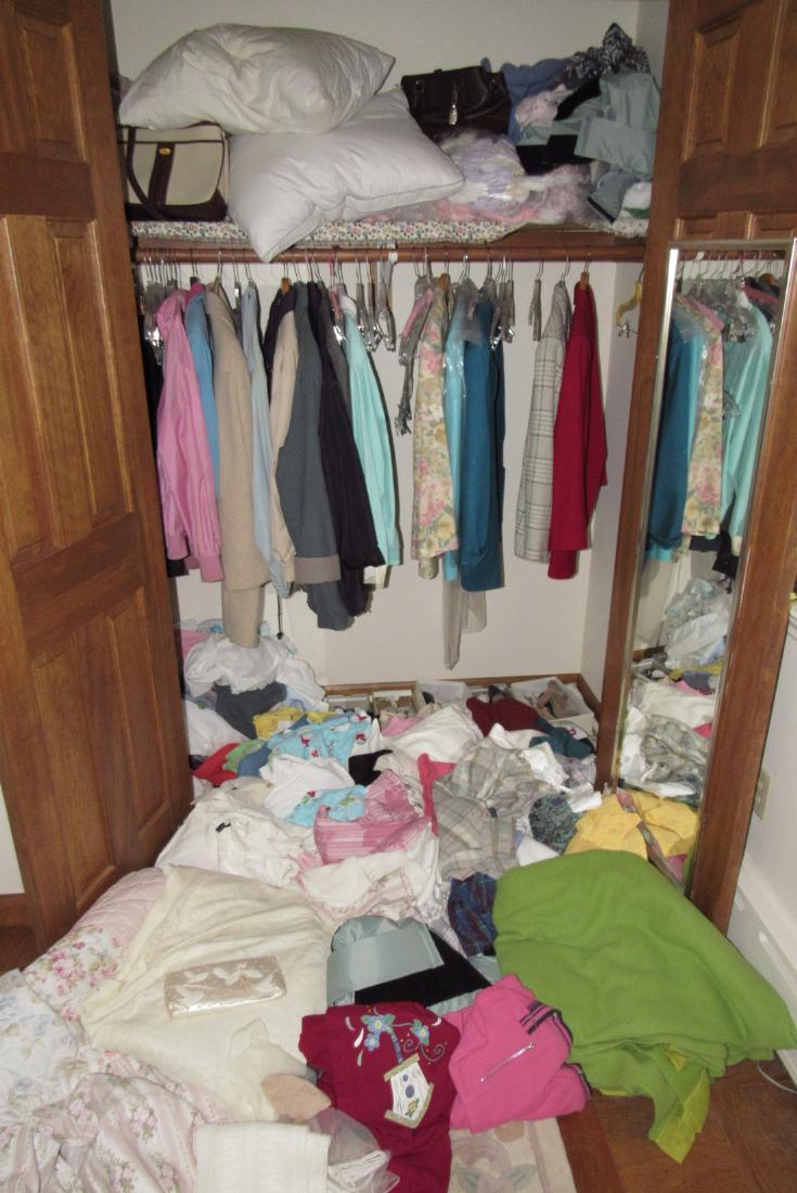 Clothing Coats Purses Shirts Pillows Closet Lot (1 of 5)