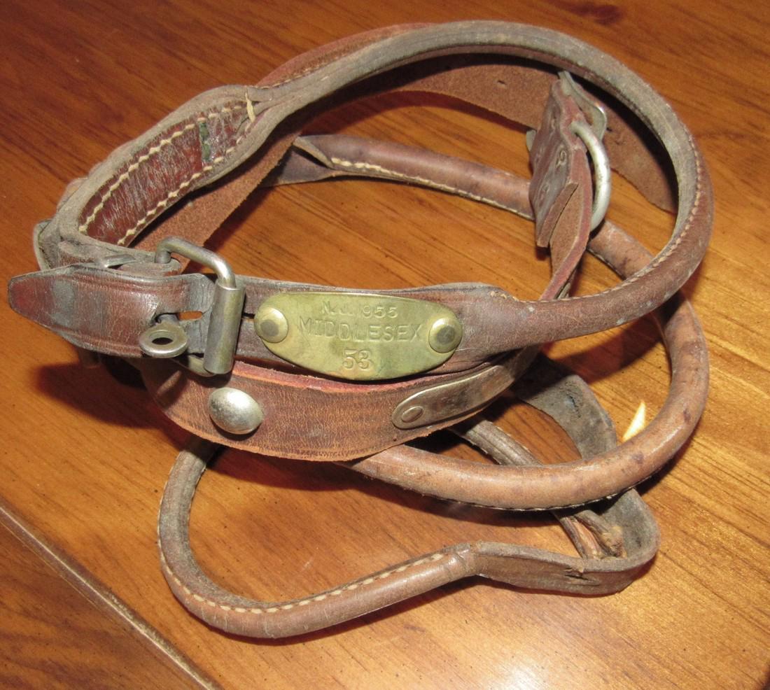 Vintage Leather Dog Collars & 1953 Middlesex License (1 of 1)