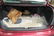 2004 Honda Accord 4 Door with only 8,660 Miles - 10