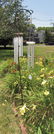 5 Wind Chimes