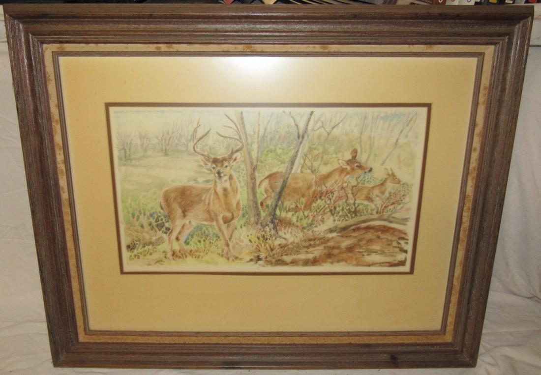 Whitetail Deer Watercolor Painting by Ginny Connor: Approx 24" x 29"