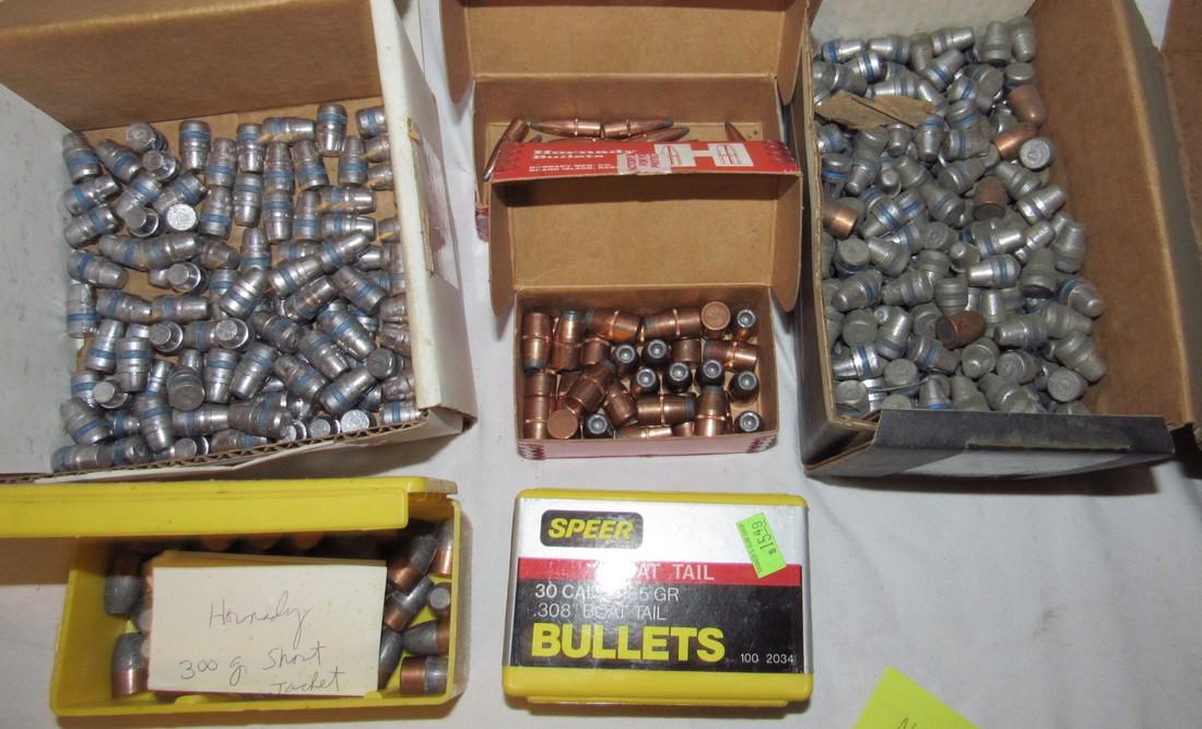 45 30 44 Cal. Gun Bullets: Getting all pictured.