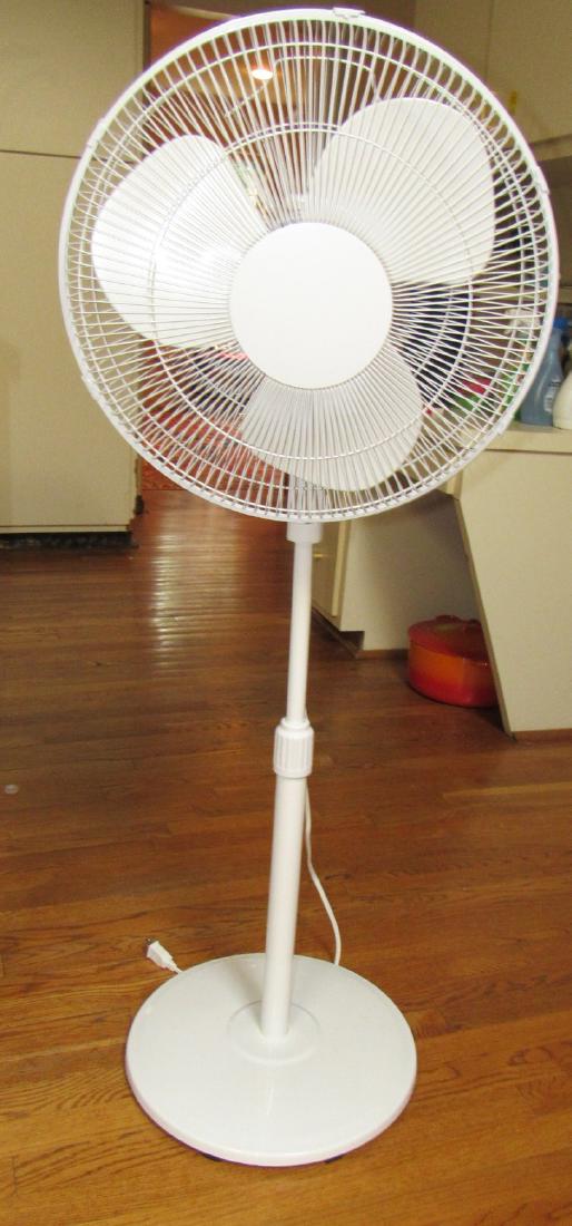 Floor Fan (1 of 2)