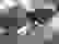 item-64619952=7