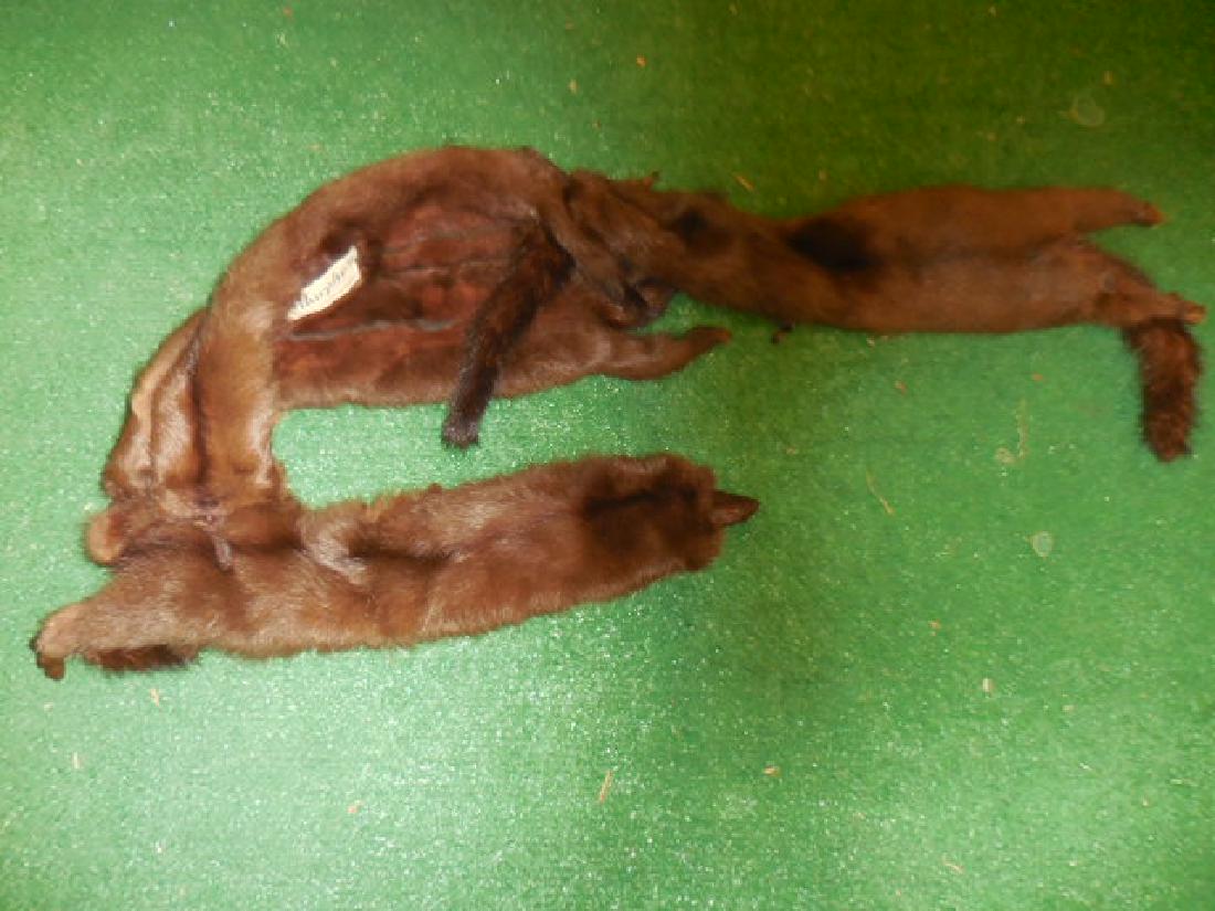 Mink Scarf: 49" long