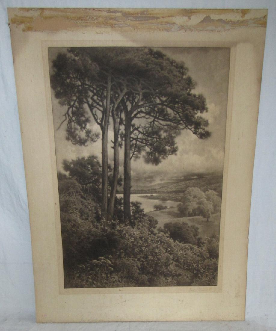 Signed Landscape Litho Print (1 of 3)