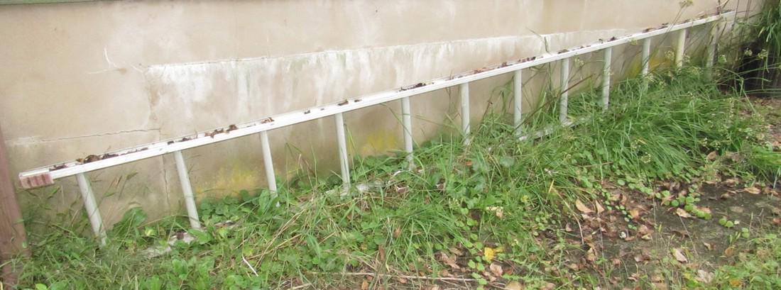 Aluminum Ladder (1 of 1)