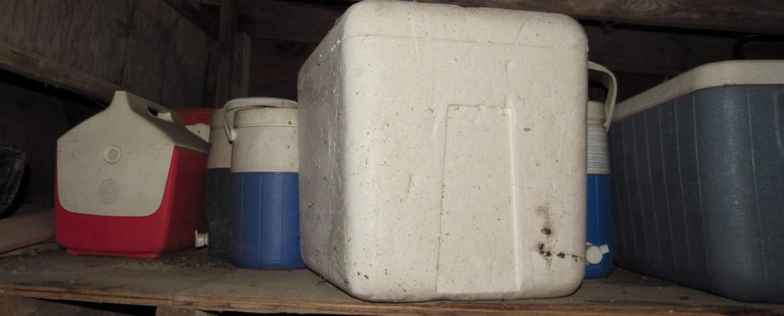 Lot of Coolers Getting all pictured. Take what you: Take what you want and leave the rest