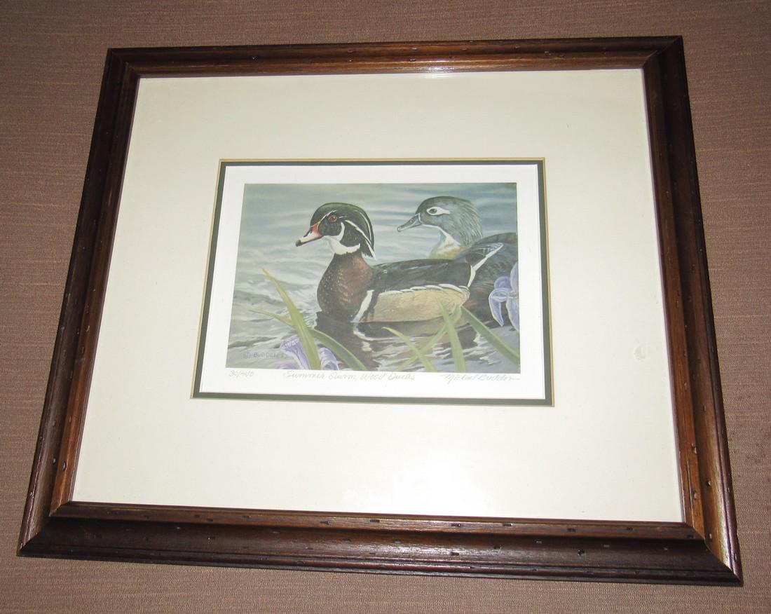 Michael Budden Summer Swim Wood Ducks Print Signed (1 of 2)