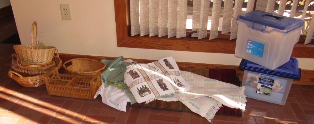 Totes Baskets Rug: Rug has dog hair on it. Take what you want and leave the rest