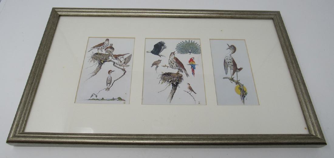 Norman Rockwell Museum Bird Print: Approx 10" x 17"