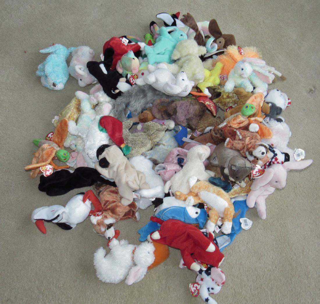 Beanie Babies: Getting all pictured