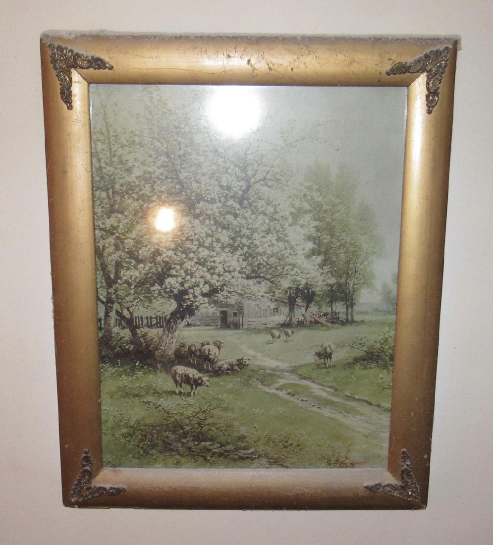 Sheep Print (1 of 1)