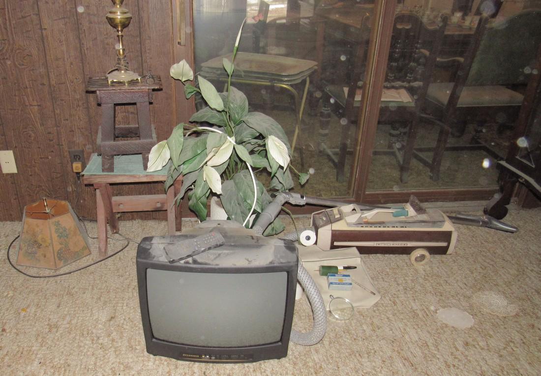 Electrolux Vacuum Plant Stand Lamp (1 of 3)