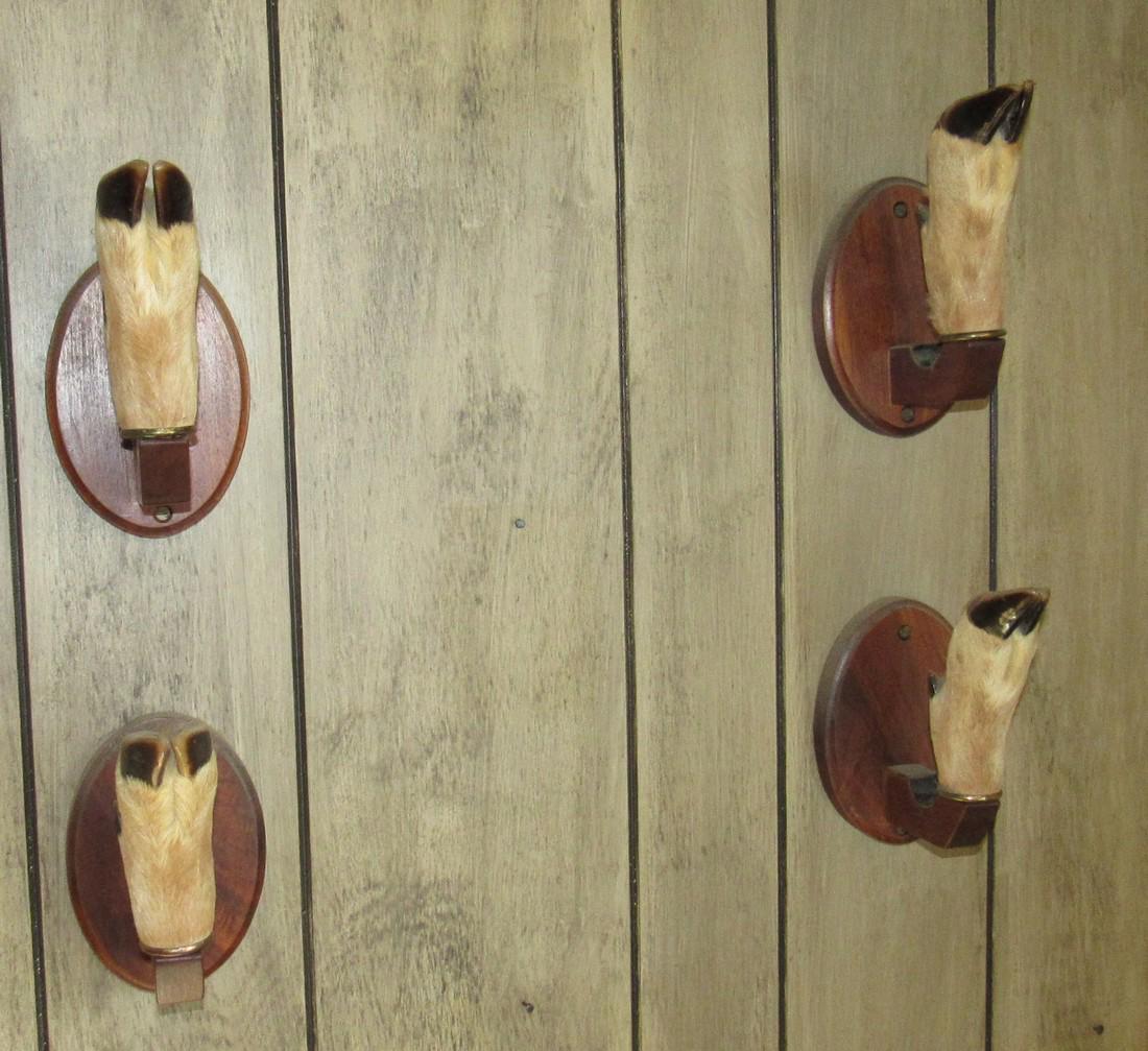 Whitetail Deer Hoof Coat Hat Racks: Getting all pictured. Buyer must remove from wall ( regular screwdriver)