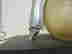 item-71688528=2