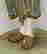 item-71688529=4