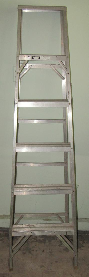 Werner Job - Master 6' Aluminum Step Ladder (1 of 2)