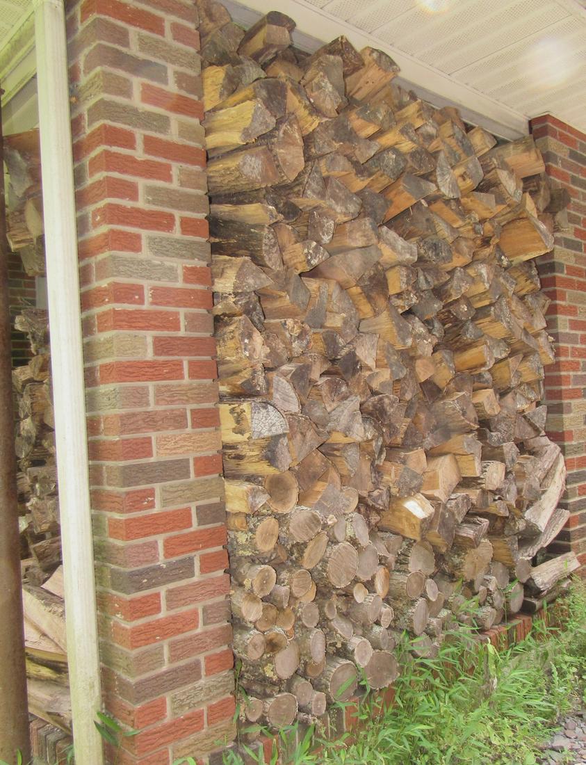 Cut and Split Firewood (1 of 3)