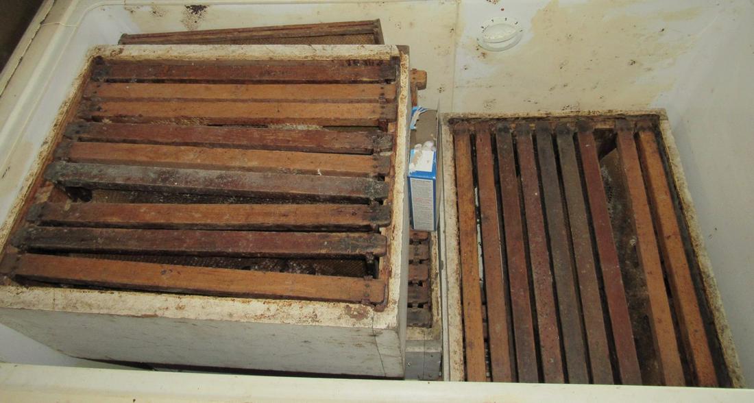Bee Keeping Supplies Boxes & Chest Freezer (1 of 4)