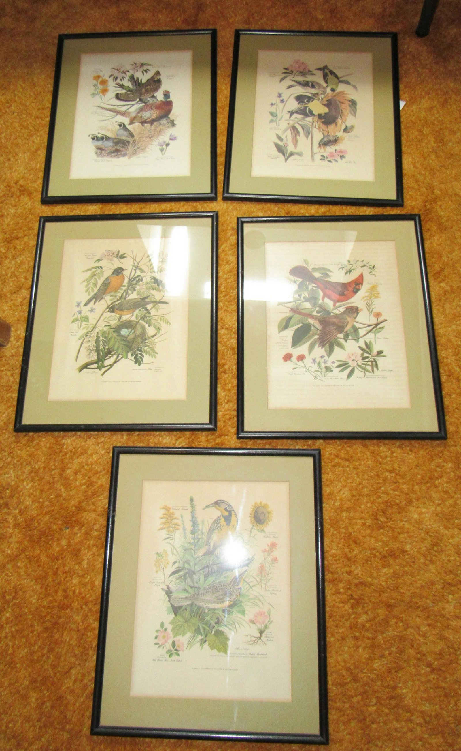 5 Arthur Singer Prints: Approx 13 3/4" x 16 3/4"