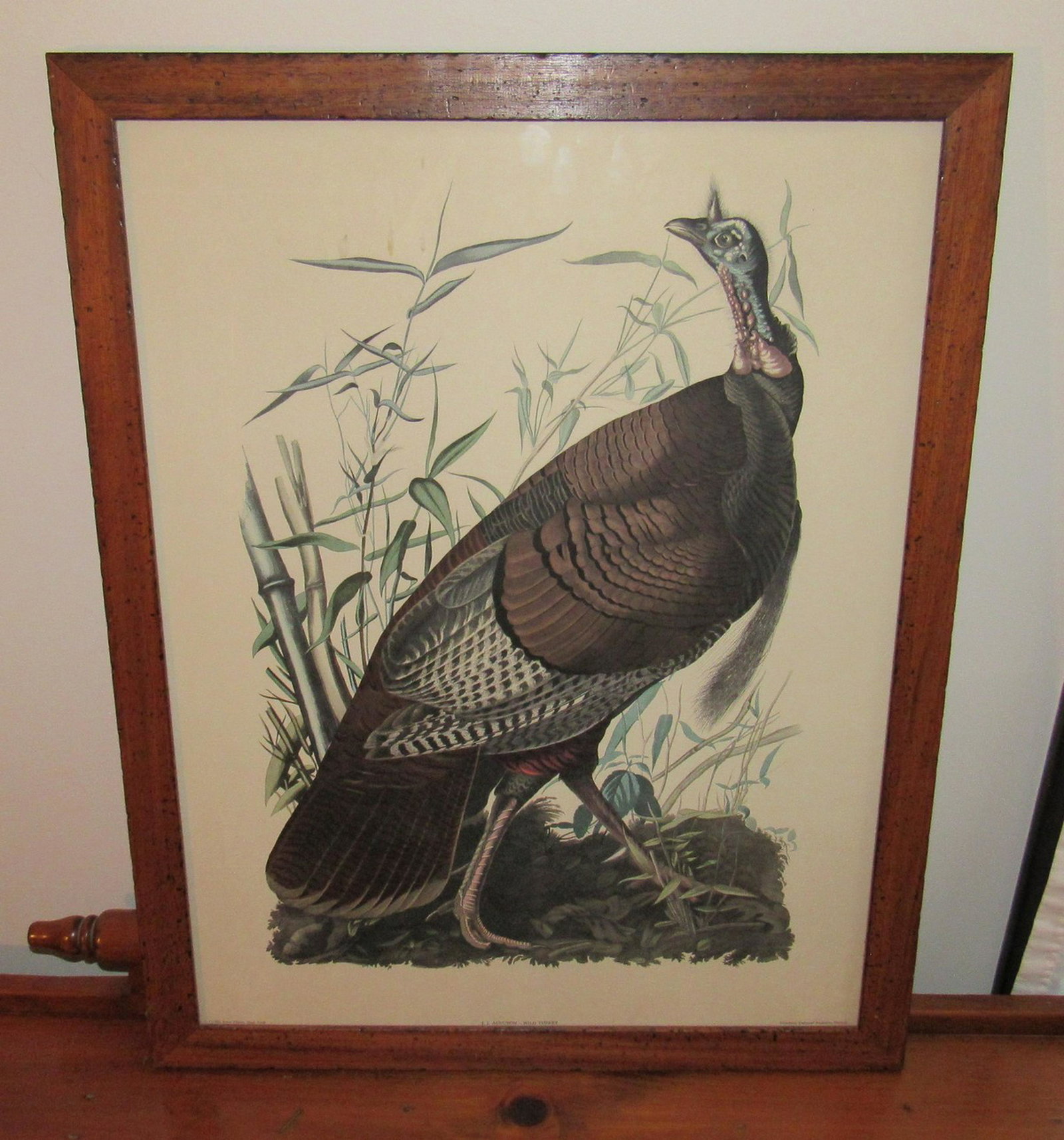 JJ Audubon Wild Turkey Print: Approx 22 1/2" x 28 1/2"