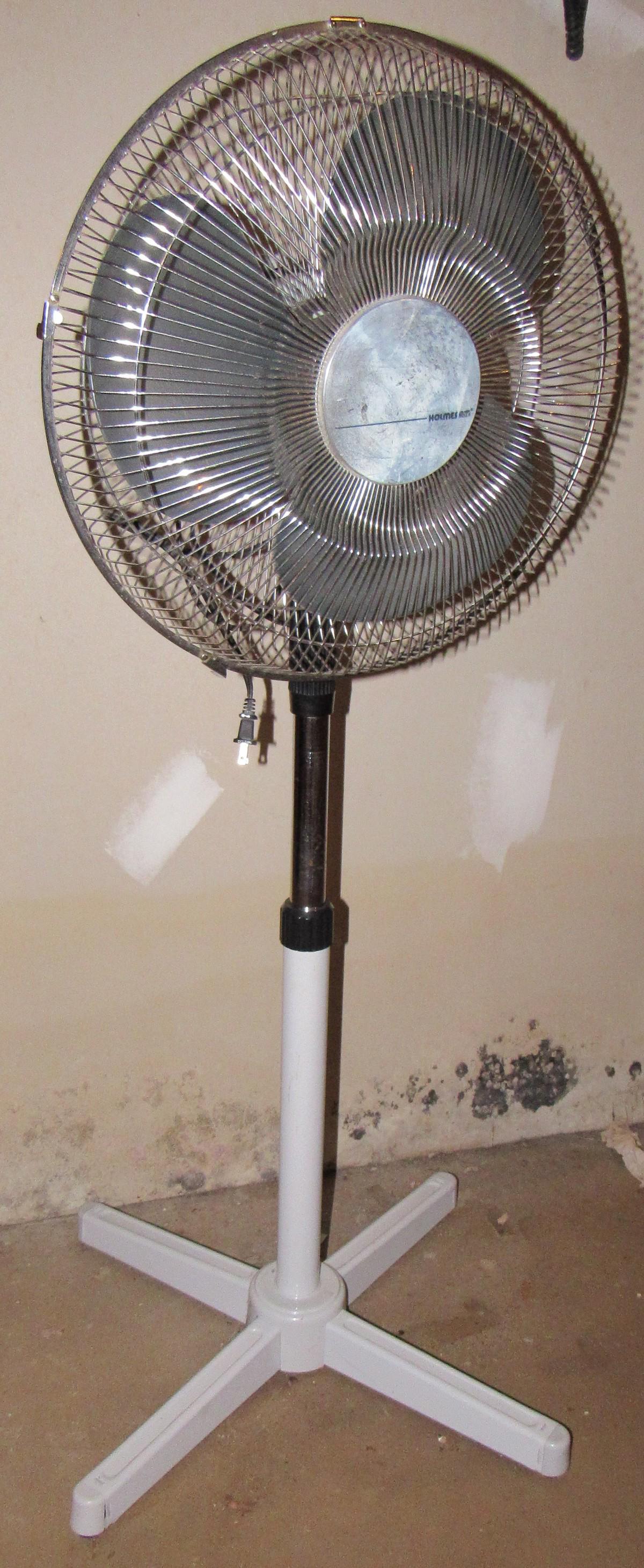 Holmes Floor Fan: Works !
