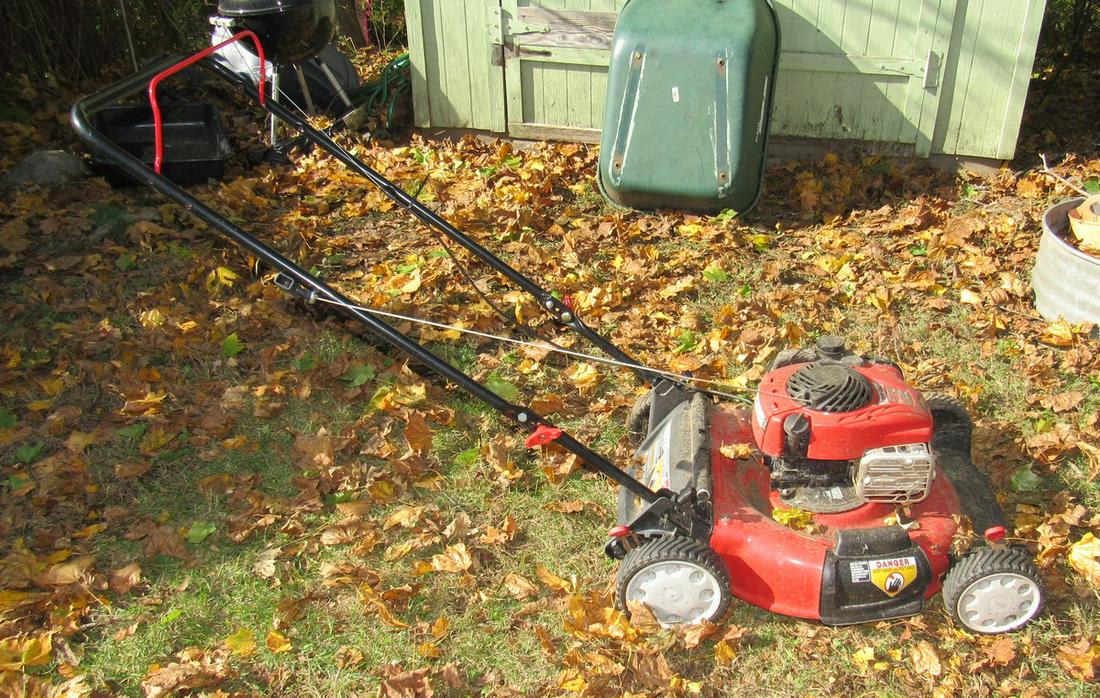 Troy-Bilt TB110 Pushmower: Pulled 5 times but would not start. Has good compression, however.
