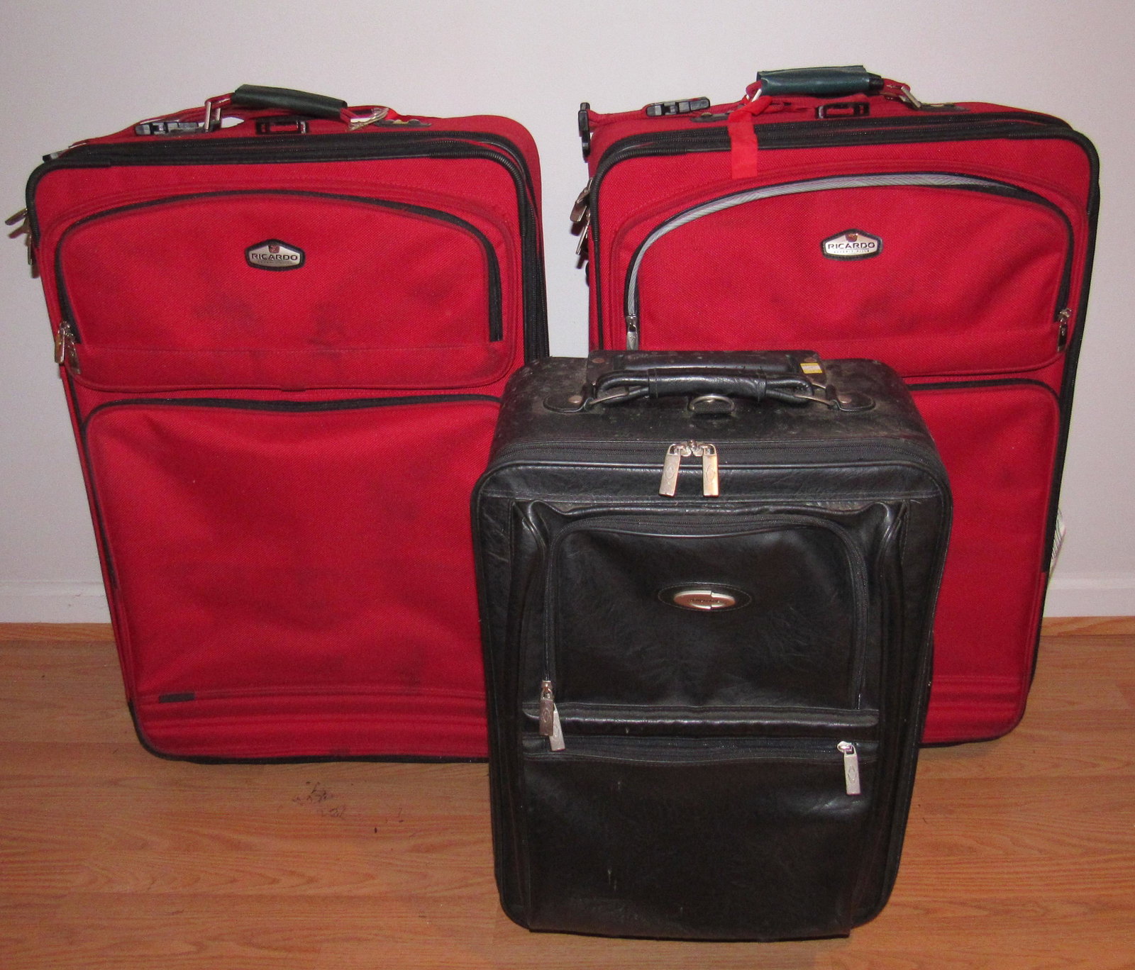 Ricardo and Concourse Luggage Columbia Backpack: Red ones are apprx 31" tall