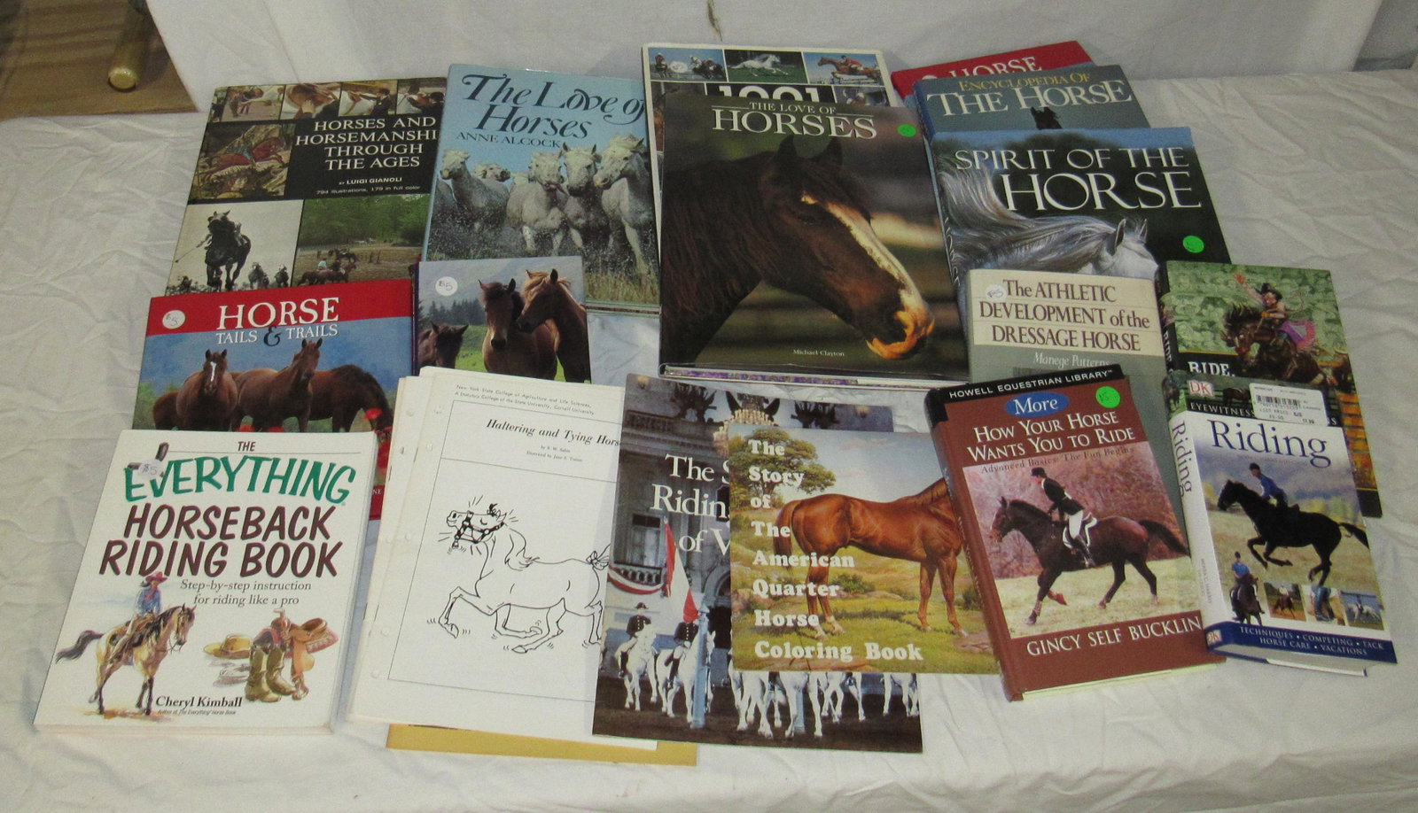 Horse Books Plastic Tote and Beer Can Hangings: Getting all pictured