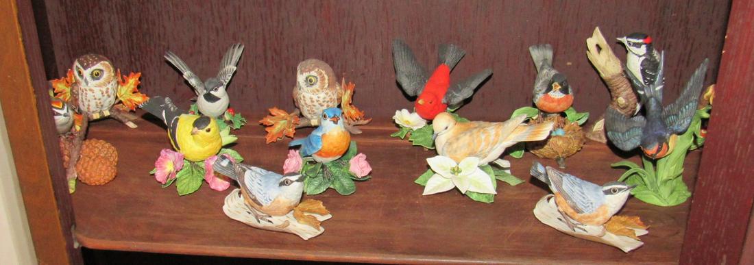14 Lenox Birds: Getting all pictured