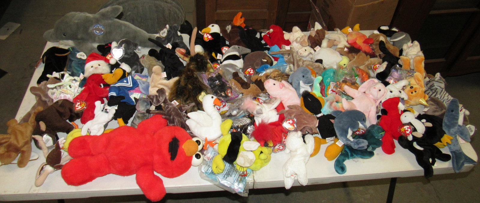 Lot of Beanie Babies & Misc: Getting all pictured on table.