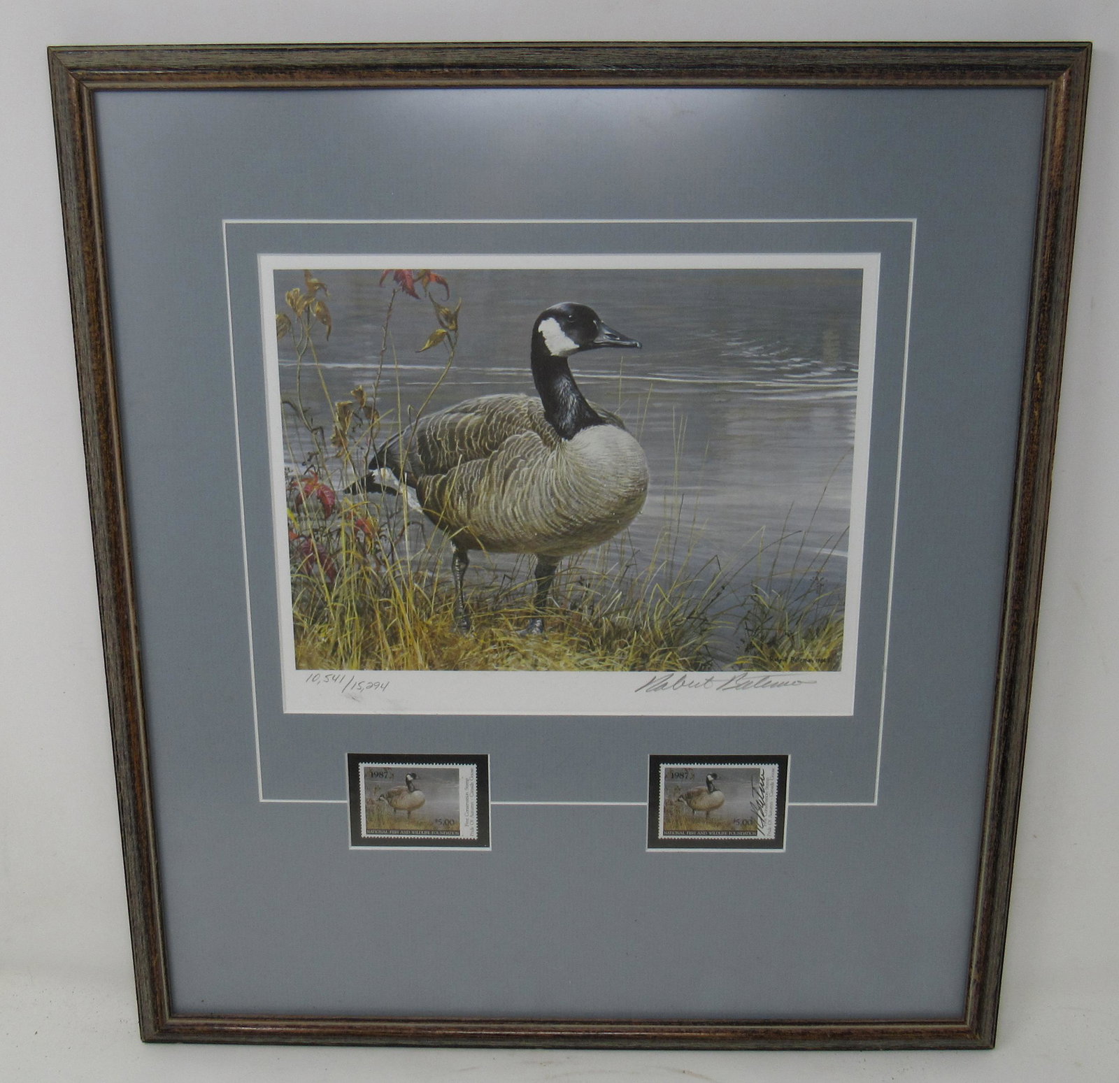 Robert Bateman 1987 Signed Goose Print & Stamps: Apprx 15 1/4" x 17"