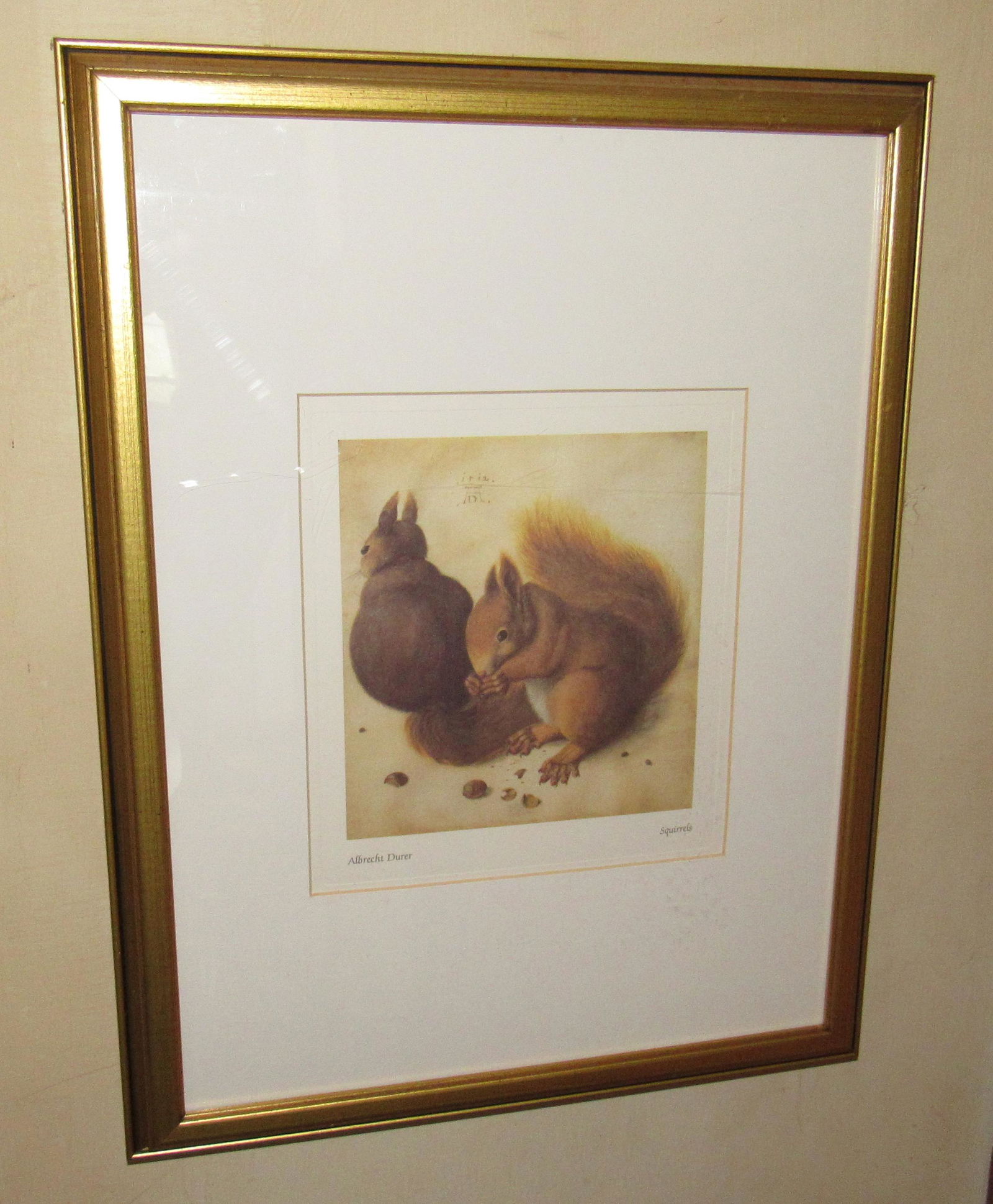 Albrecht Durer Squirrel Print (1 of 1)