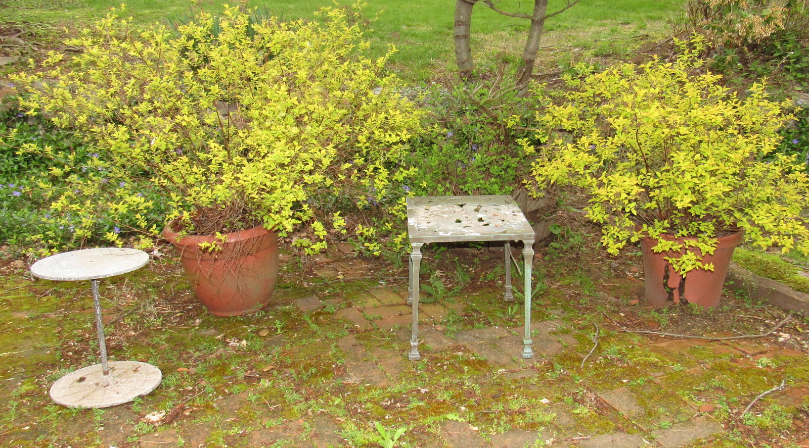 Cast Aluminum Tables Planters & Bushes (1 of 4)