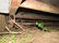 1989 Wells Cargo 6x12 Enclosed Trailer - 12