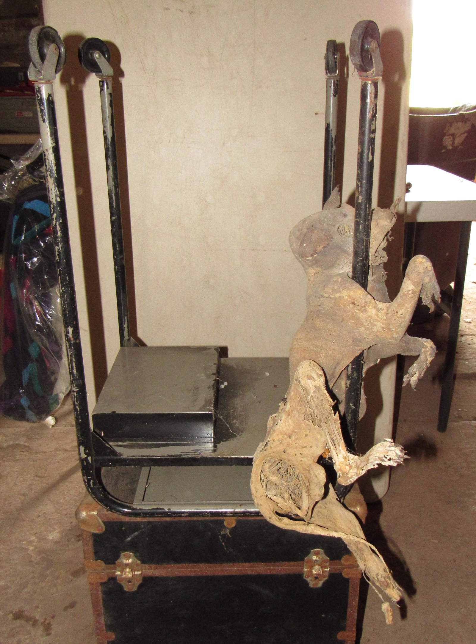 Mummified Animal on Vintage Rolling Cart Oddity: Animal is apprx 20" long. Cart is approx 13" x 15" x 25 1/2" tall. NO SHIPPING !