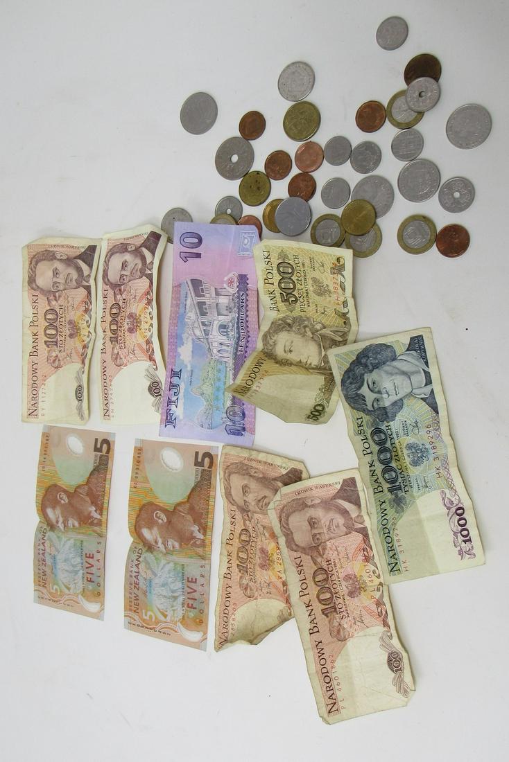 Foreign Coins and Paper Money: Getting all pictured