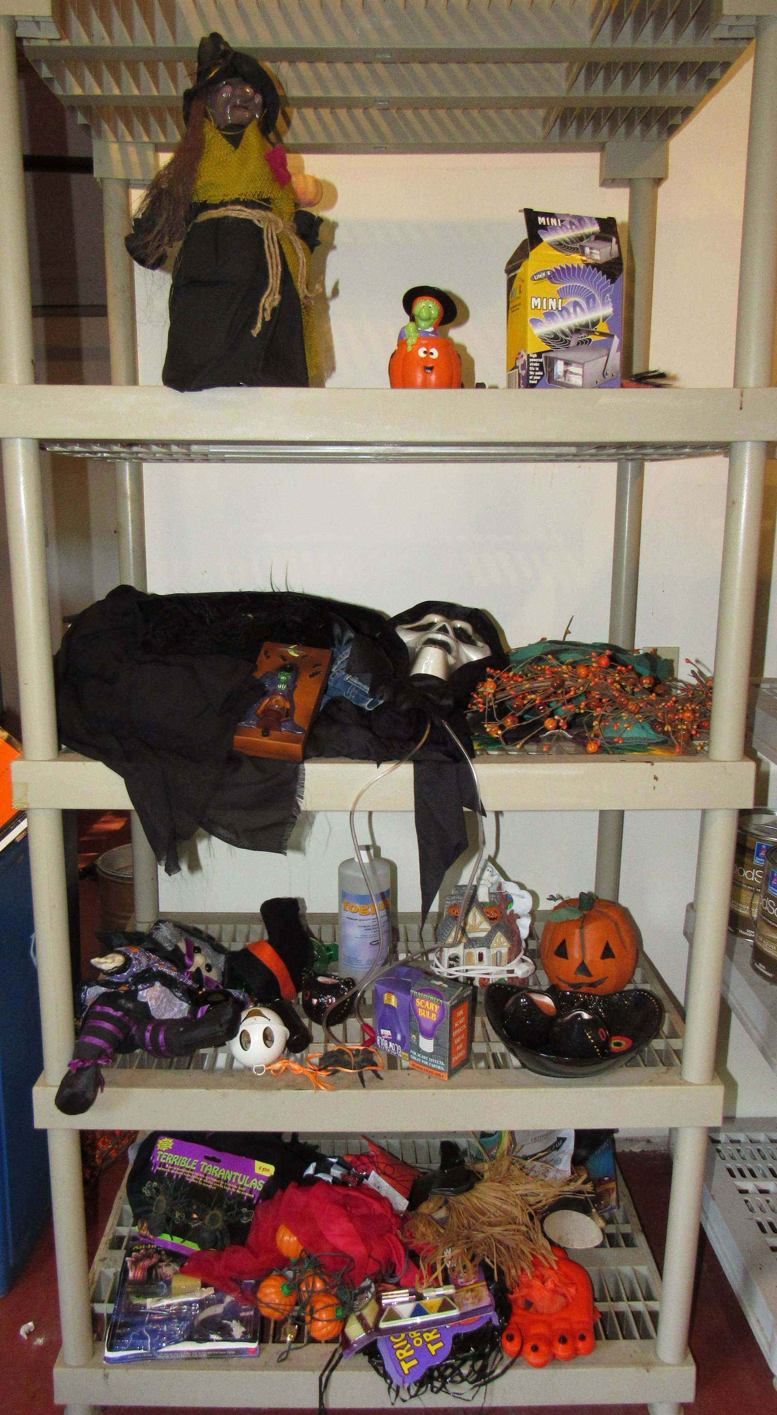 Halloween Decorations and Costumes: Getting all on shelf. Does not include shelf