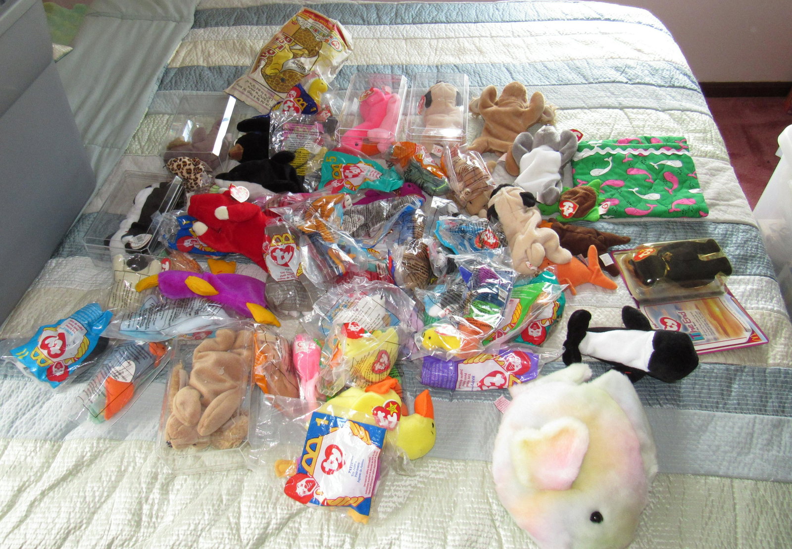 Ty Beanie Babies: Getting all pictured