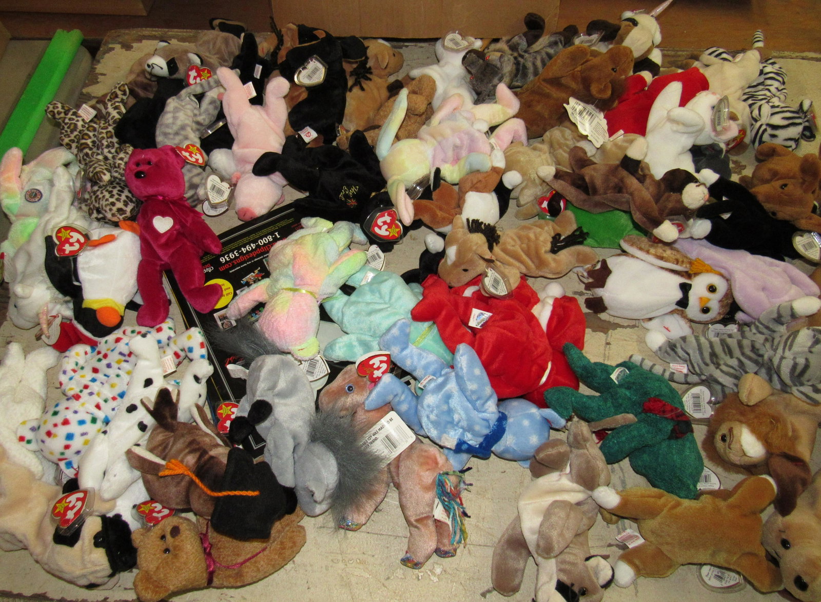 Beanie Babies: Getting all pictured