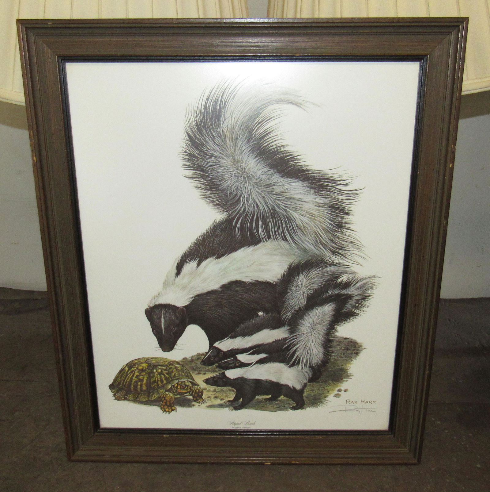 Ray Harm Striped Skunk & Turtle Print: Approx 19" x 22"